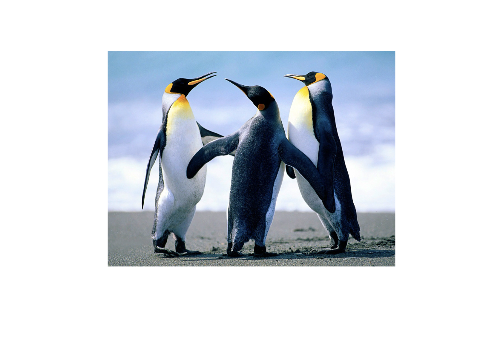 Play 20: On Competition and the Stories We Tell Ourselves